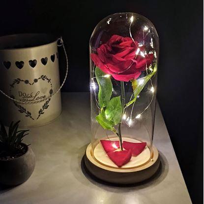 Obrázek Svítící věčná růže ve skleněné váze v dárkovém balení